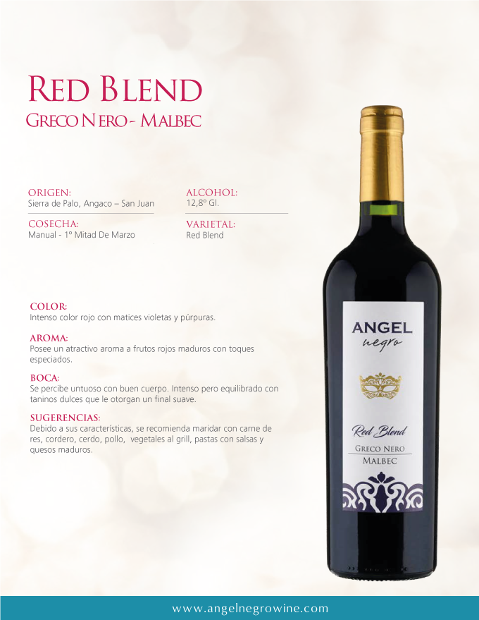 Caja Mixta x 6u Moscatel - Red Blend - Imagen 5