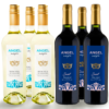 Caja Mixta x 6u Moscatel - Sweet Malbec