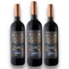 Gurú 100% Malbec x 3 unidades